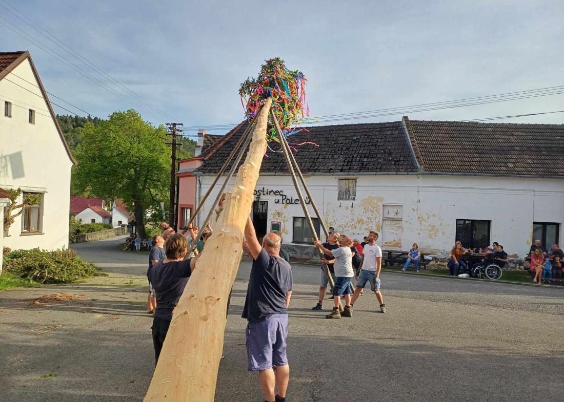 Čepická májka, aneb každý strom si zaslouží svoji šanci