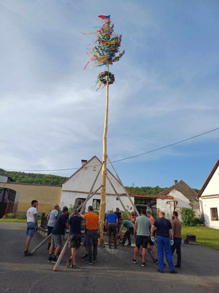 Čepická májka. Foto: Jaroslav Potužník