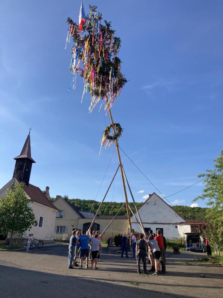 V Čepicích se staví májka tradičním způsobem. Foto: Hana Sulánová